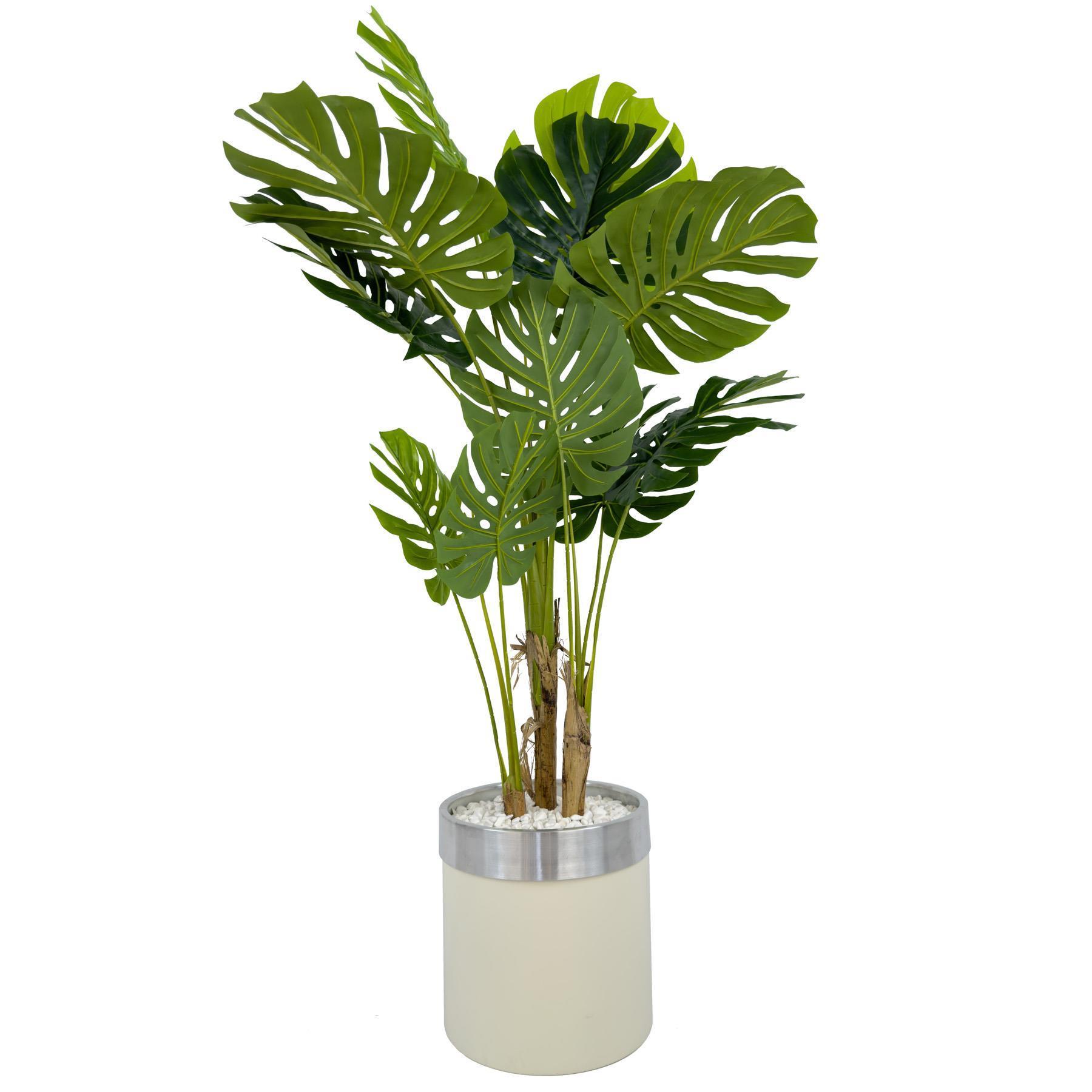 Monstera Ağacı 160cm krem gümüş metal saksıda
