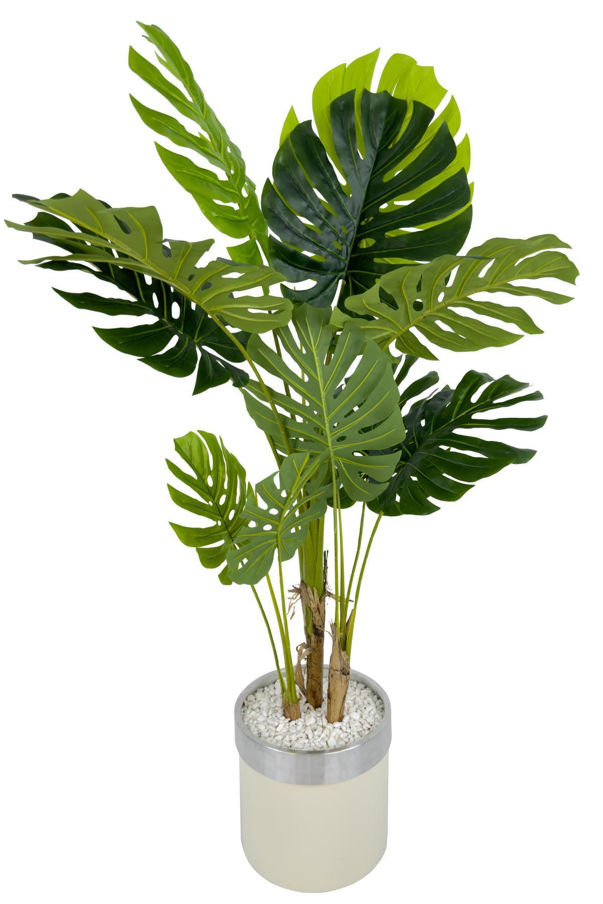 Monstera Ağacı 160cm krem gümüş metal saksıda