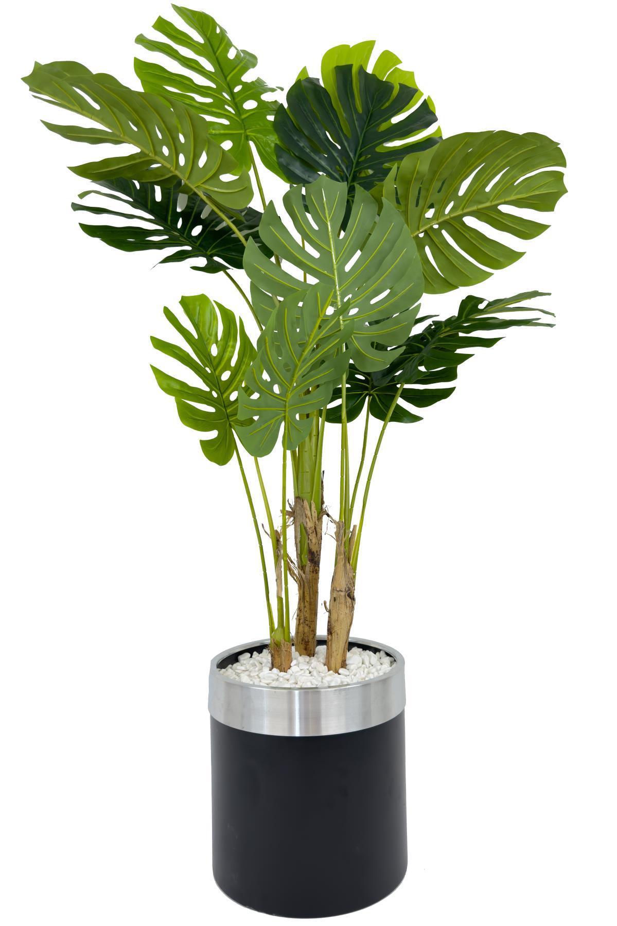 Monstera Ağacı 160cm siyah gümüş metal saksıda