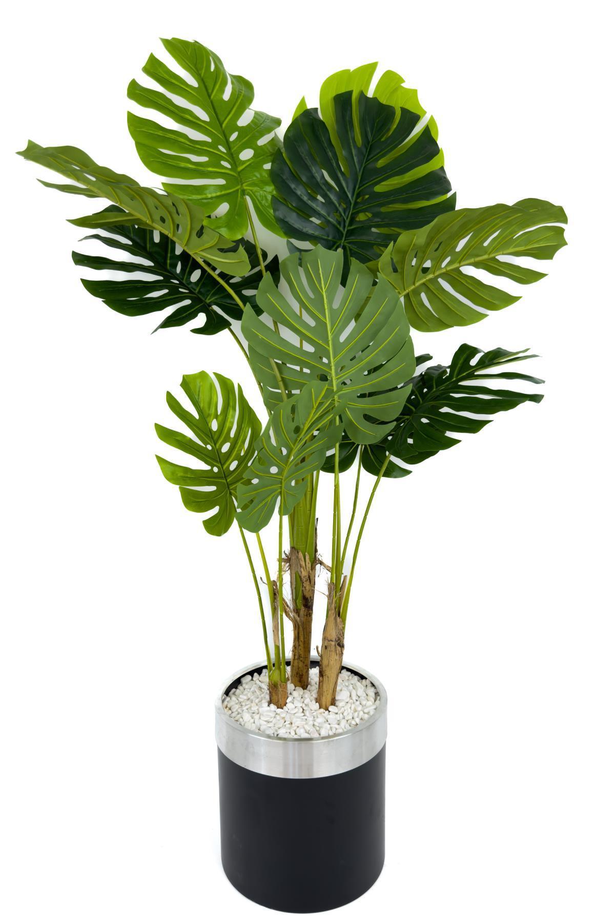 Monstera Ağacı 160cm siyah gümüş metal saksıda