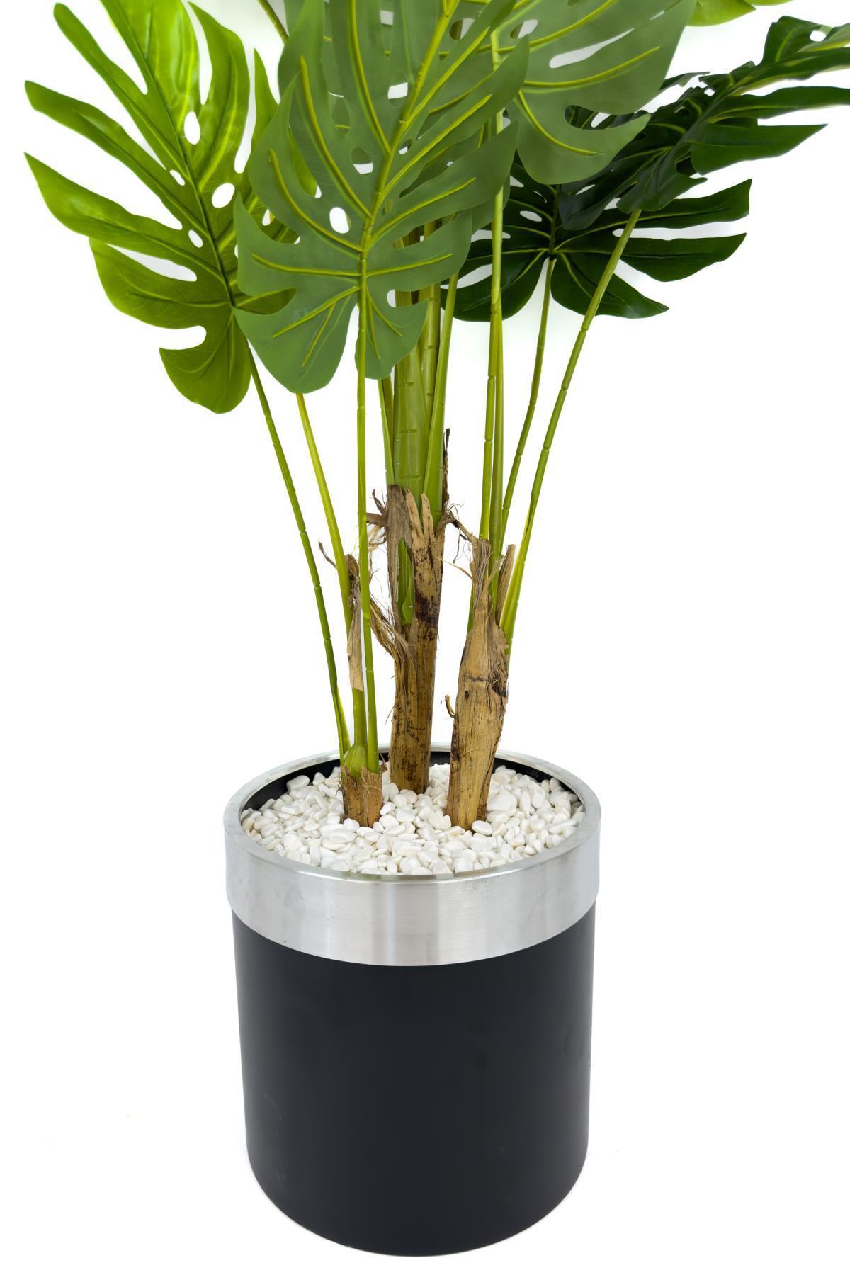 Monstera Ağacı 160cm siyah gümüş metal saksıda