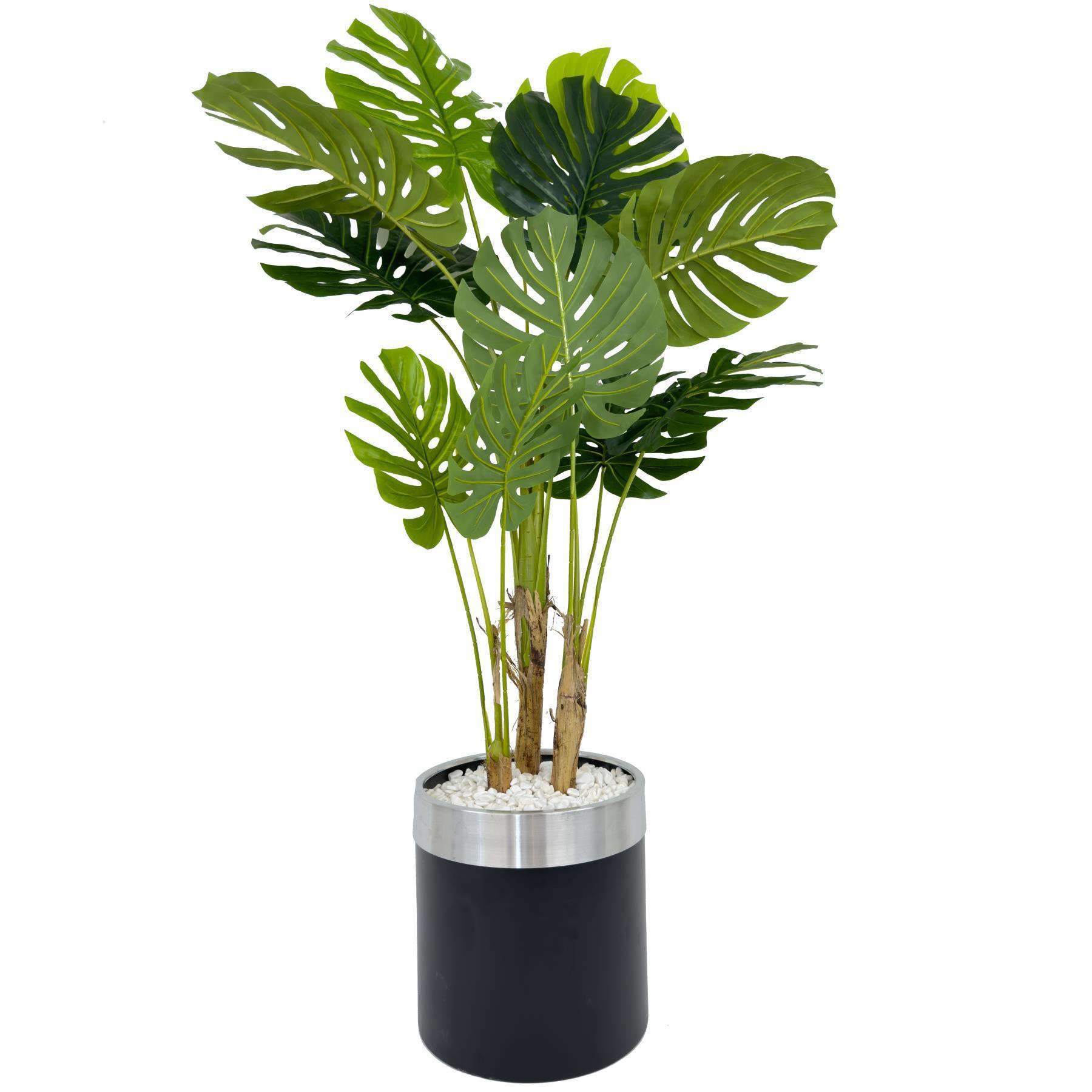 Monstera Ağacı 160cm siyah gümüş metal saksıda