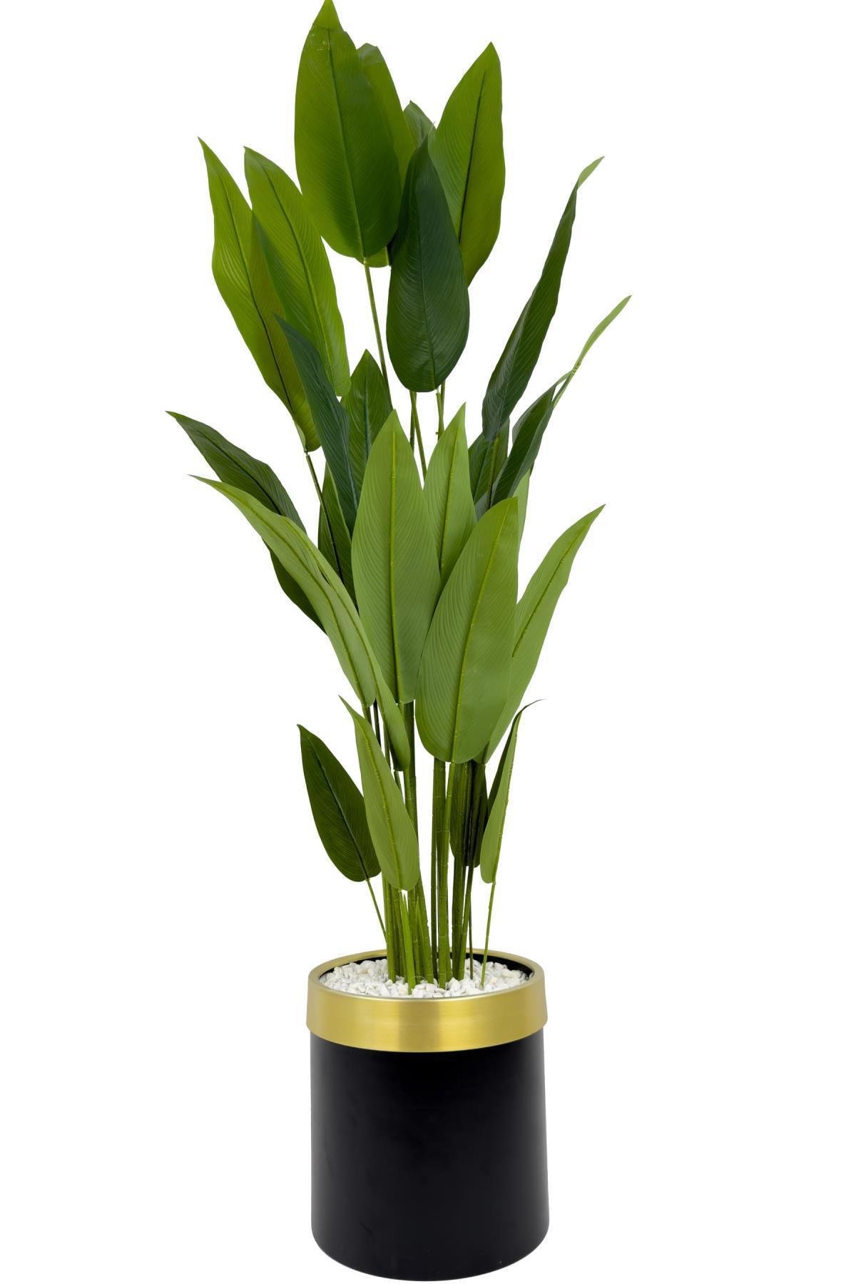 Starliçe 220cm metal siyah gold saksıda