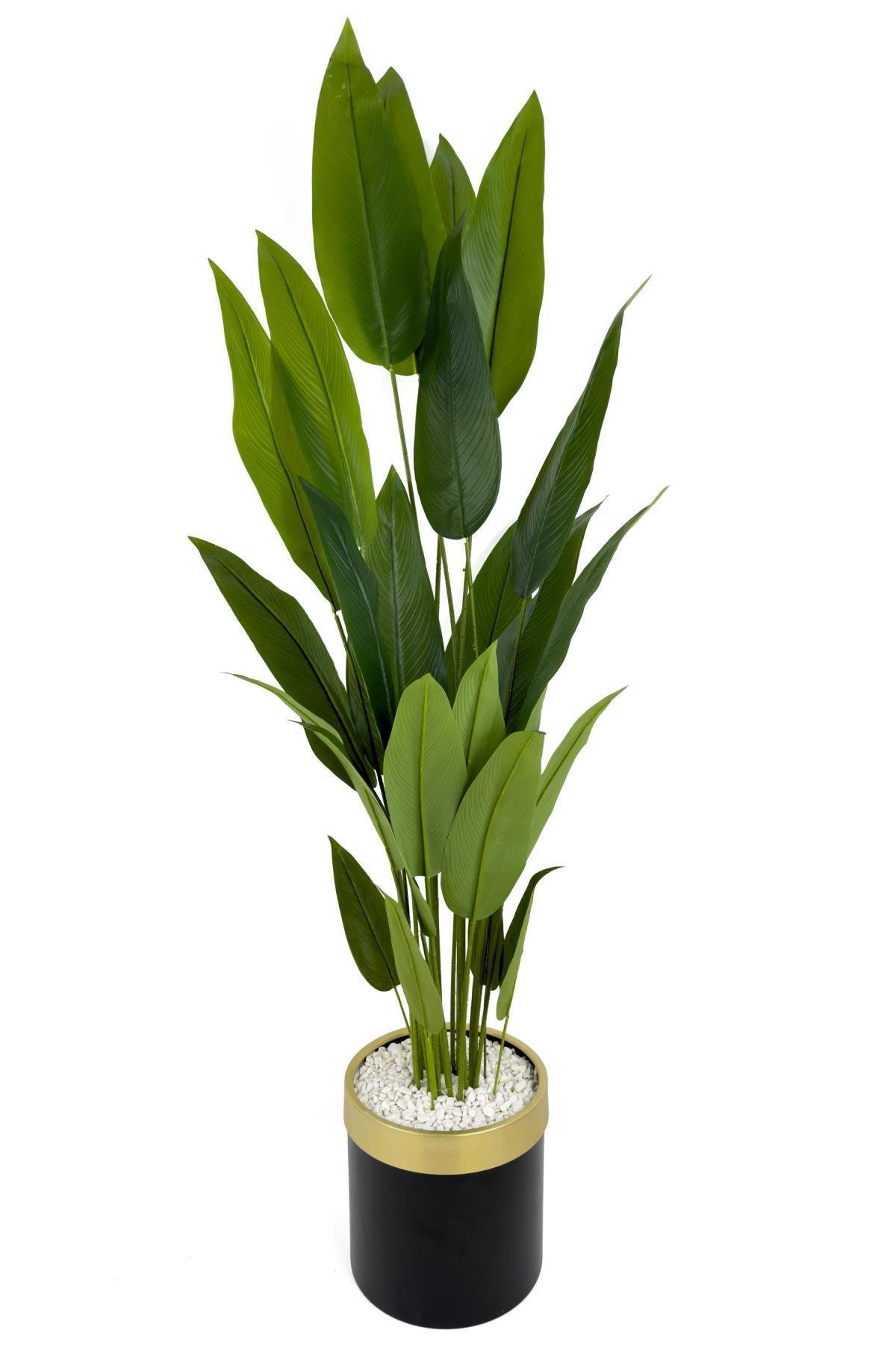 Starliçe 220cm metal siyah gold saksıda