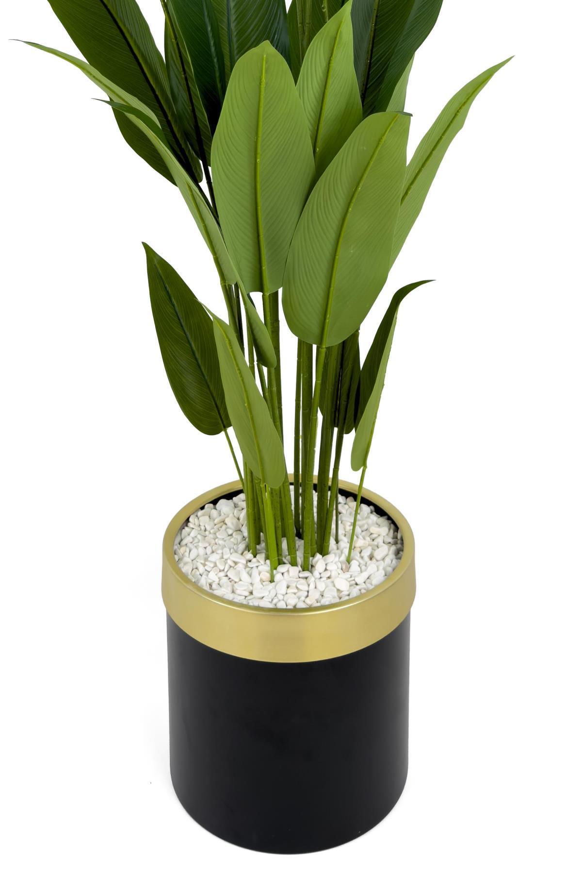 Starliçe 220cm metal siyah gold saksıda
