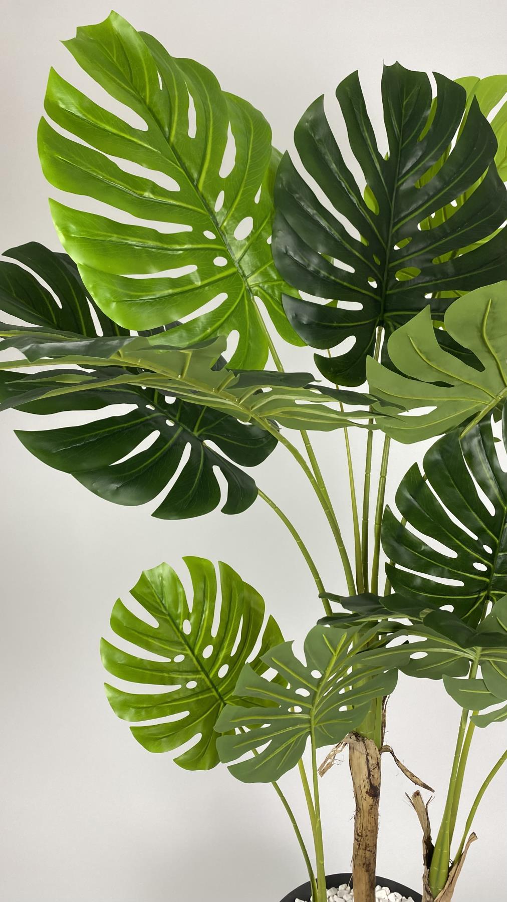 YAPAY AREKA-BÜYÜK BOY PALMİYE AĞACI 4 BAMBU GÖVDELİ VE MONSTERA-DEVETABANI AĞACI  YALI SAKSIDA