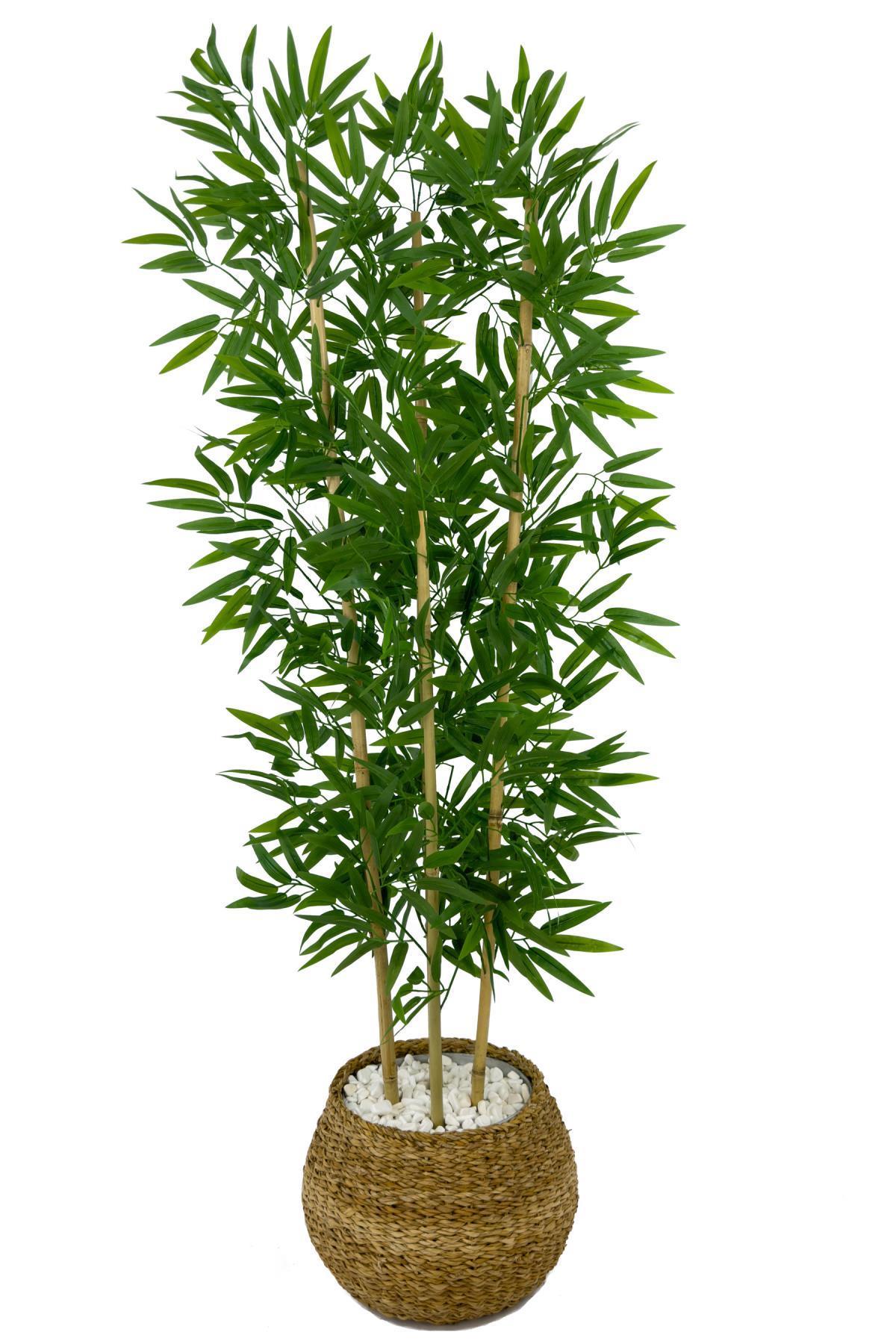 Yapay bambu ağacı 140cm Hasır geoit saksıda 