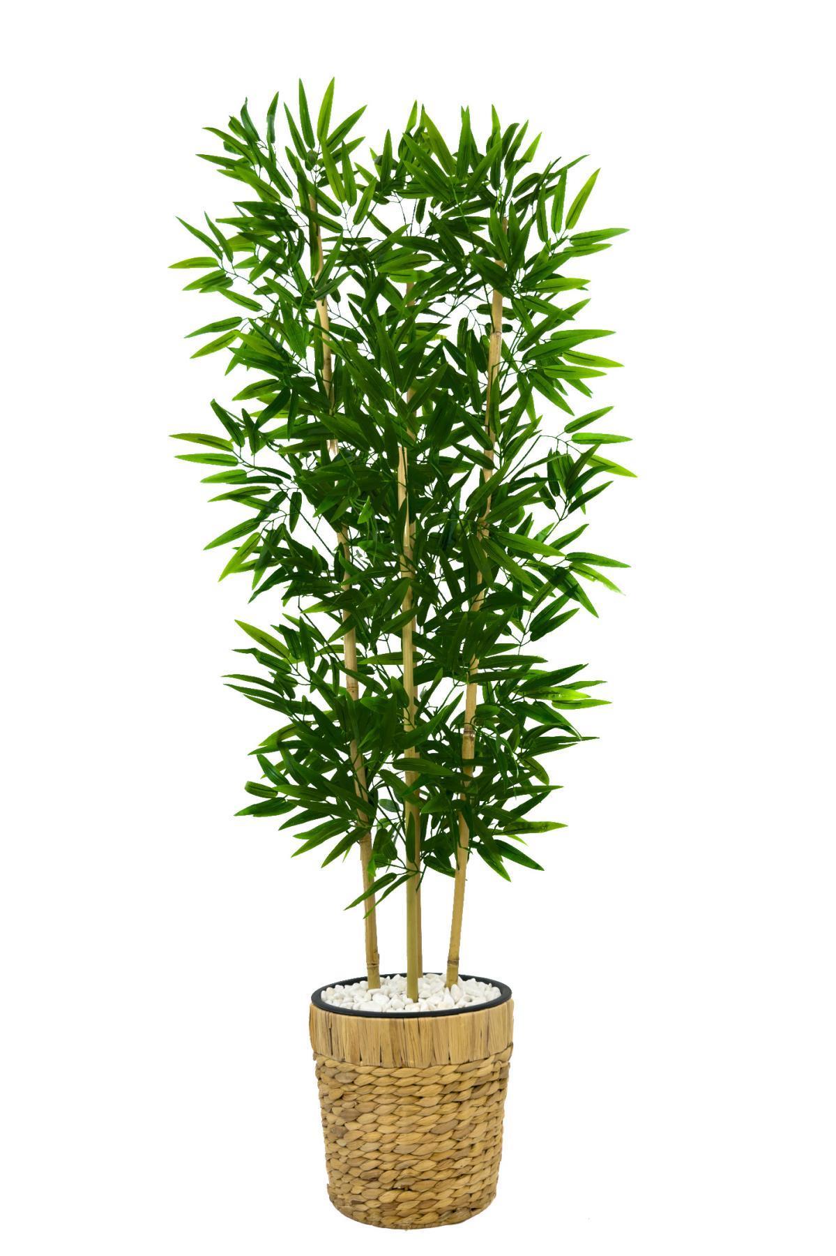 Yapay bambu ağacı 140cm hasır saksıda