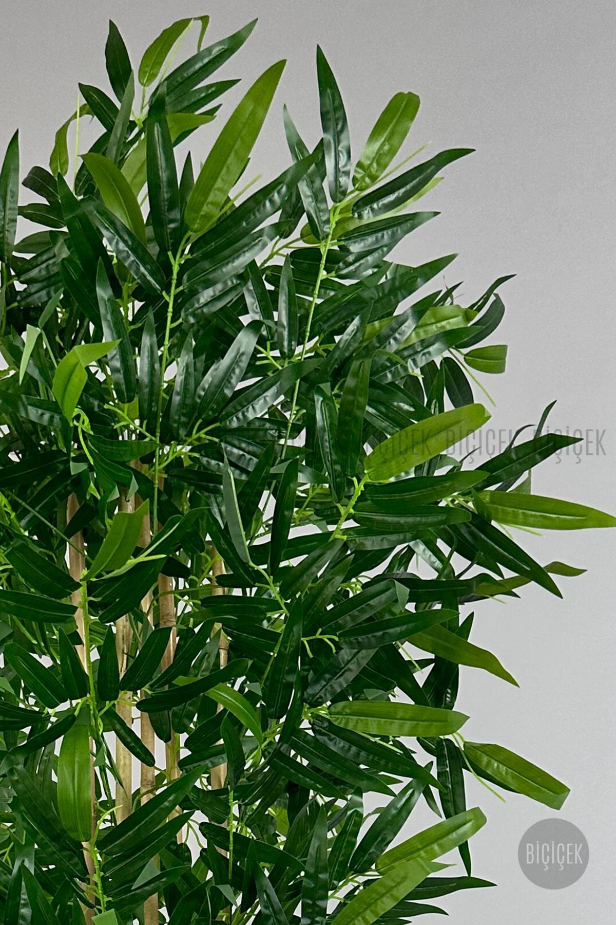YAPAY BAMBU AĞACI 170CM BÜYÜK YAPRAKLI 5 BAMBULU KIRIK BEYAZ RENK NERGİS SAKSIDA YAPAY AĞAÇ