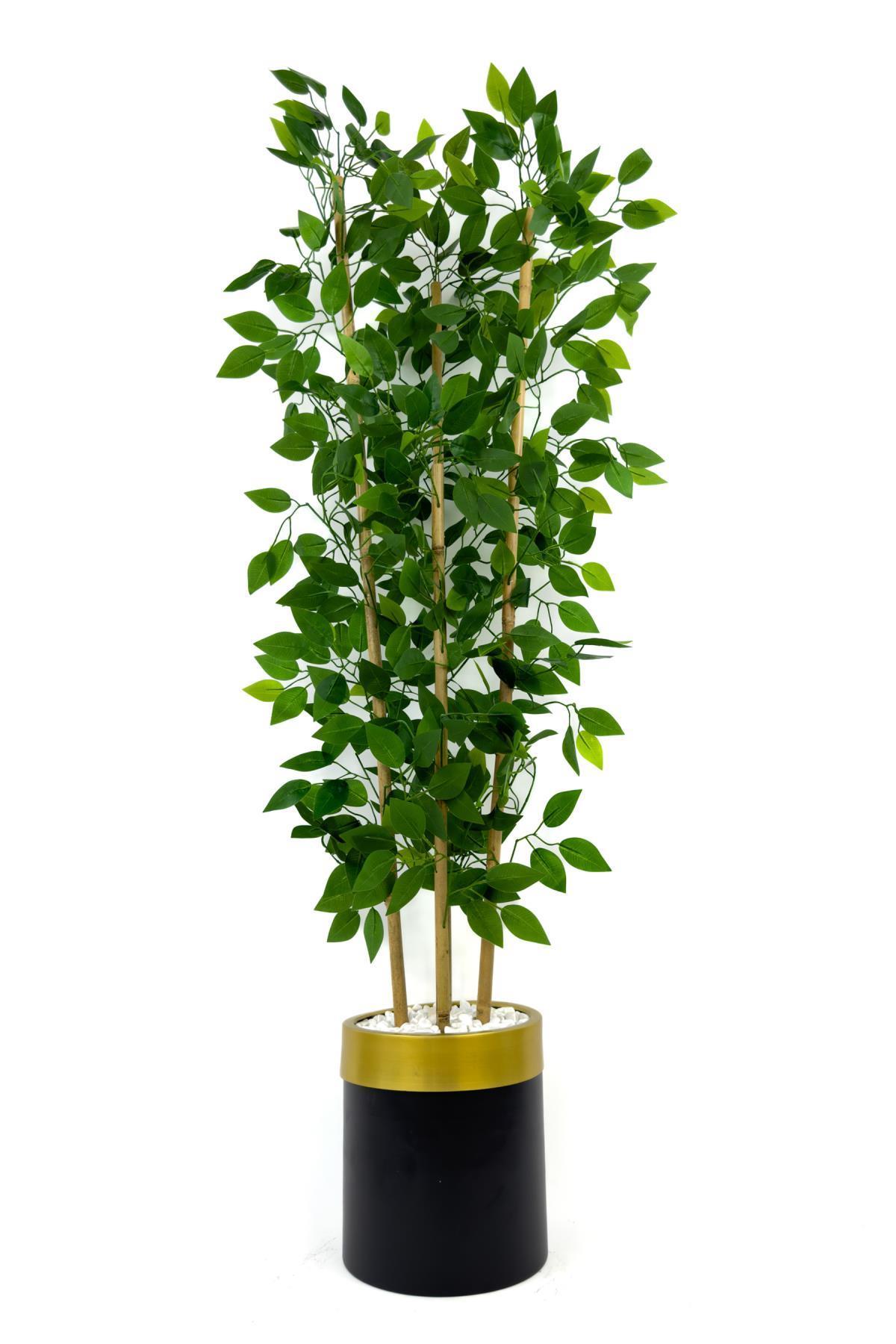 Yapay benjamin ağacı 140cm siyah gold metal saksıda