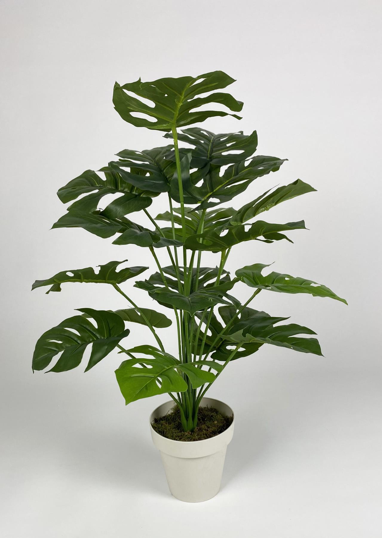 YAPAY ÇİÇEK SALON BİTKİSİ MONSTERA DEVE TABANI KIRIKBEYAZ RENK YALI SAKSIDA