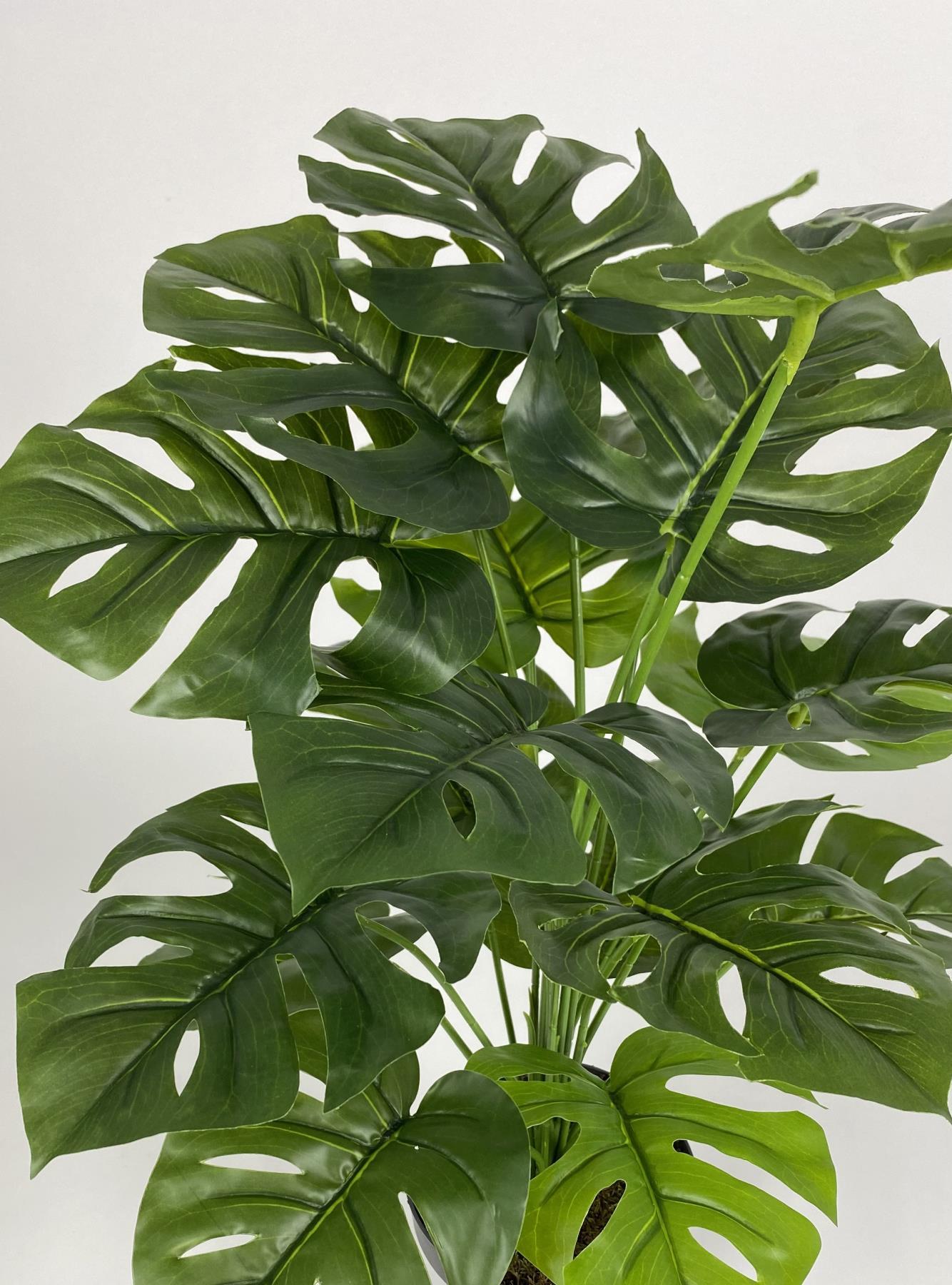 YAPAY ÇİÇEK SALON BİTKİSİ MONSTERA DEVE TABANI KIRIKBEYAZ RENK YALI SAKSIDA