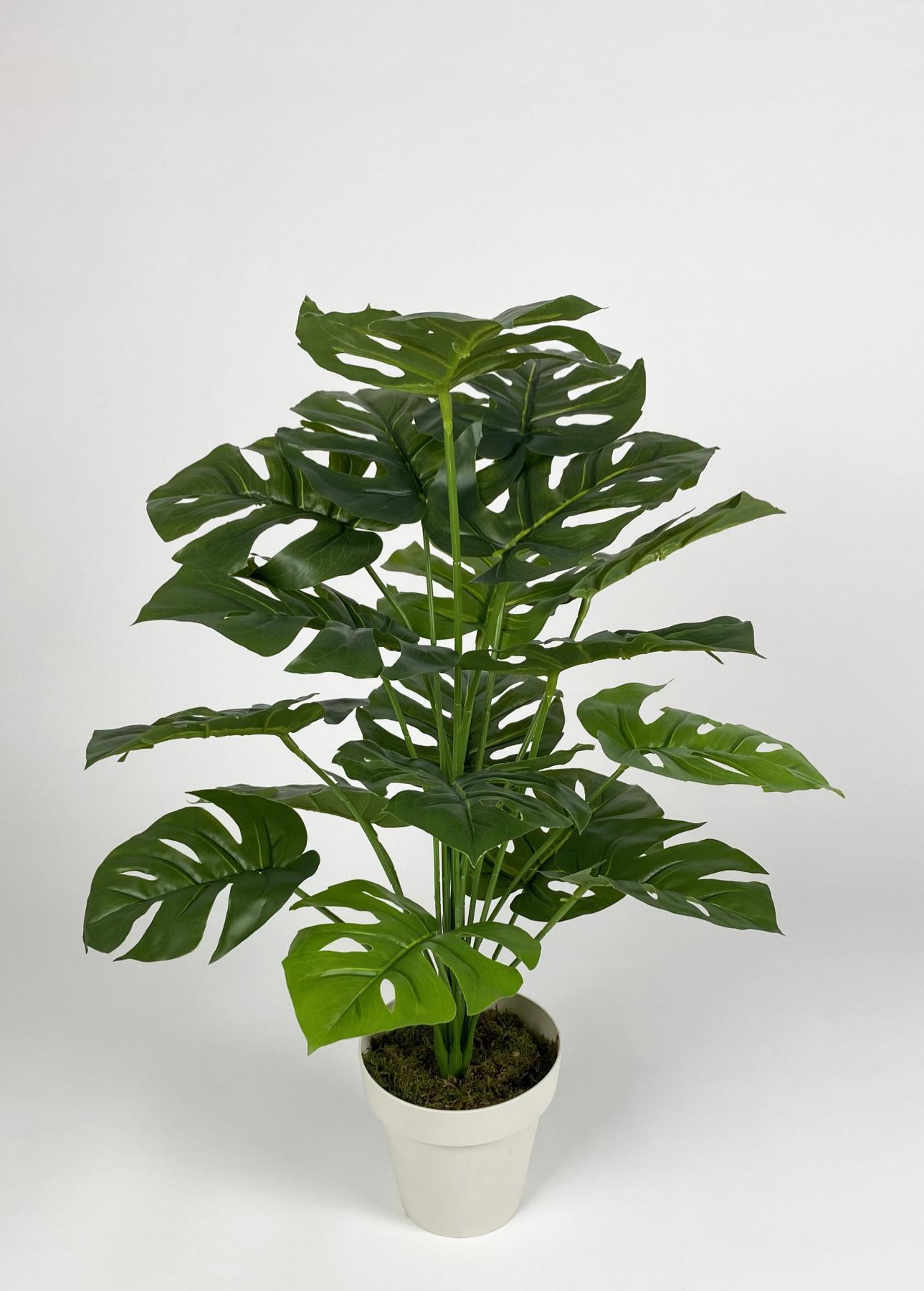 YAPAY ÇİÇEK SALON BİTKİSİ MONSTERA DEVE TABANI KIRIKBEYAZ RENK YALI SAKSIDA