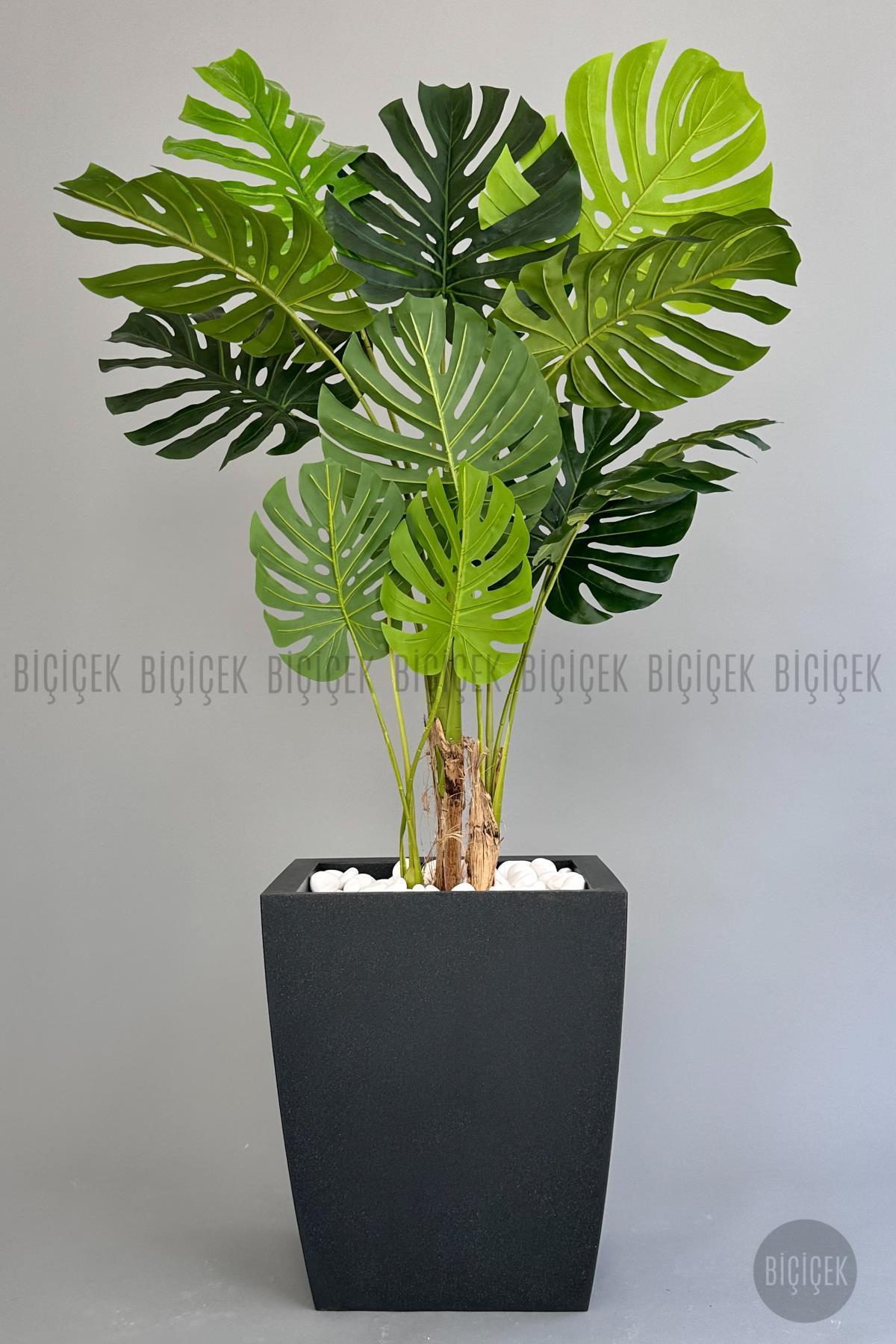 Yapay Monstera Ağacı 170 cm lux dış mekan saksıda