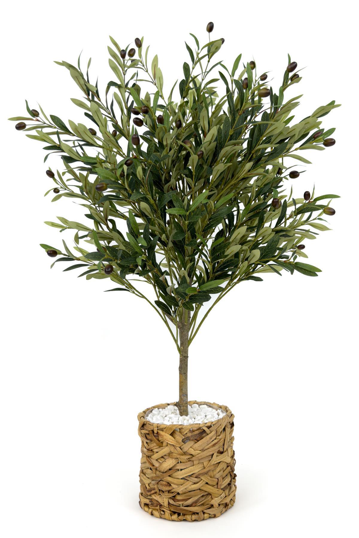 Zeytin Ağacı 100 cm hasır bohem1 saksıda