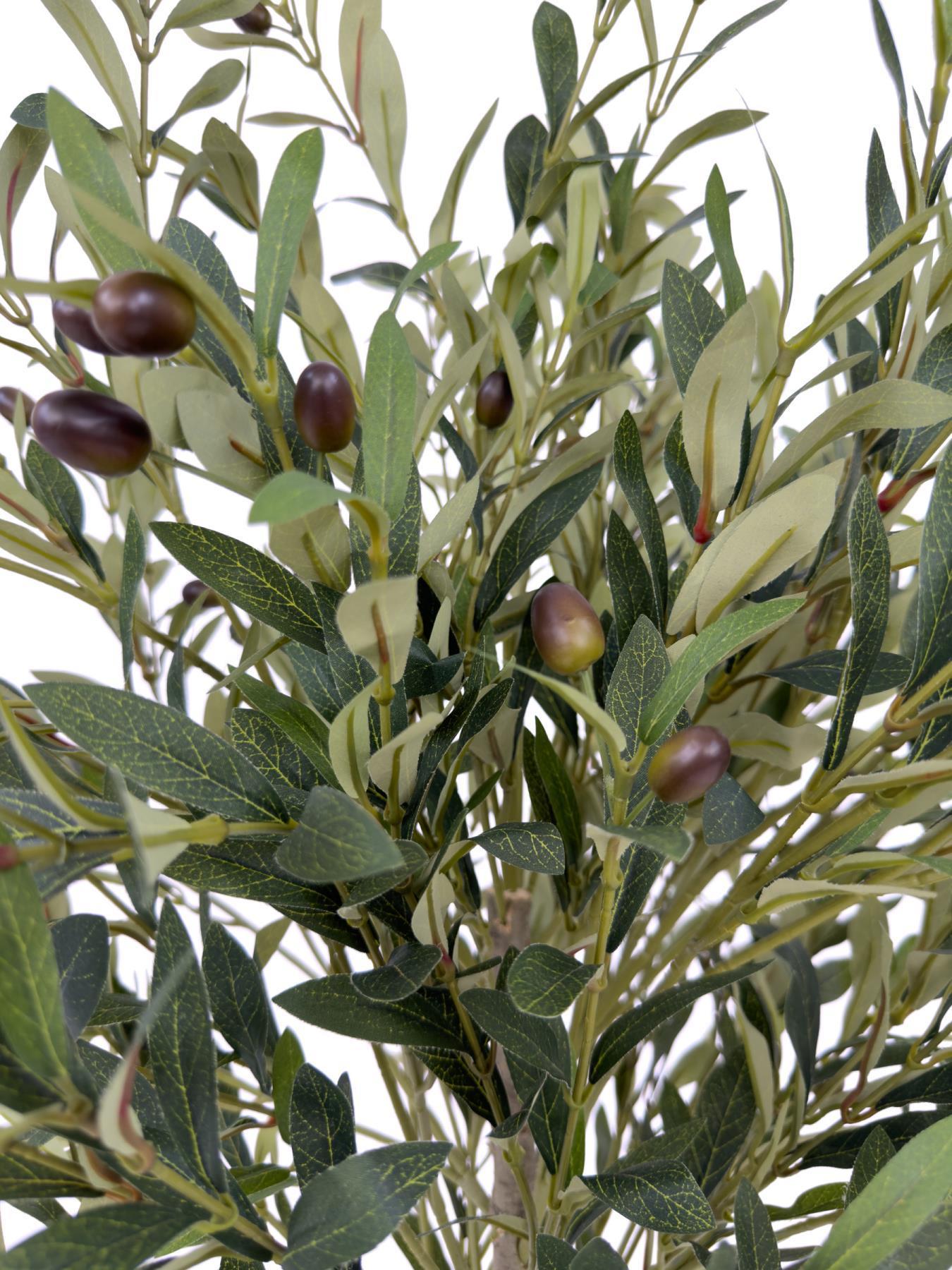 Zeytin Ağacı 100 cm hasır bohem1 saksıda