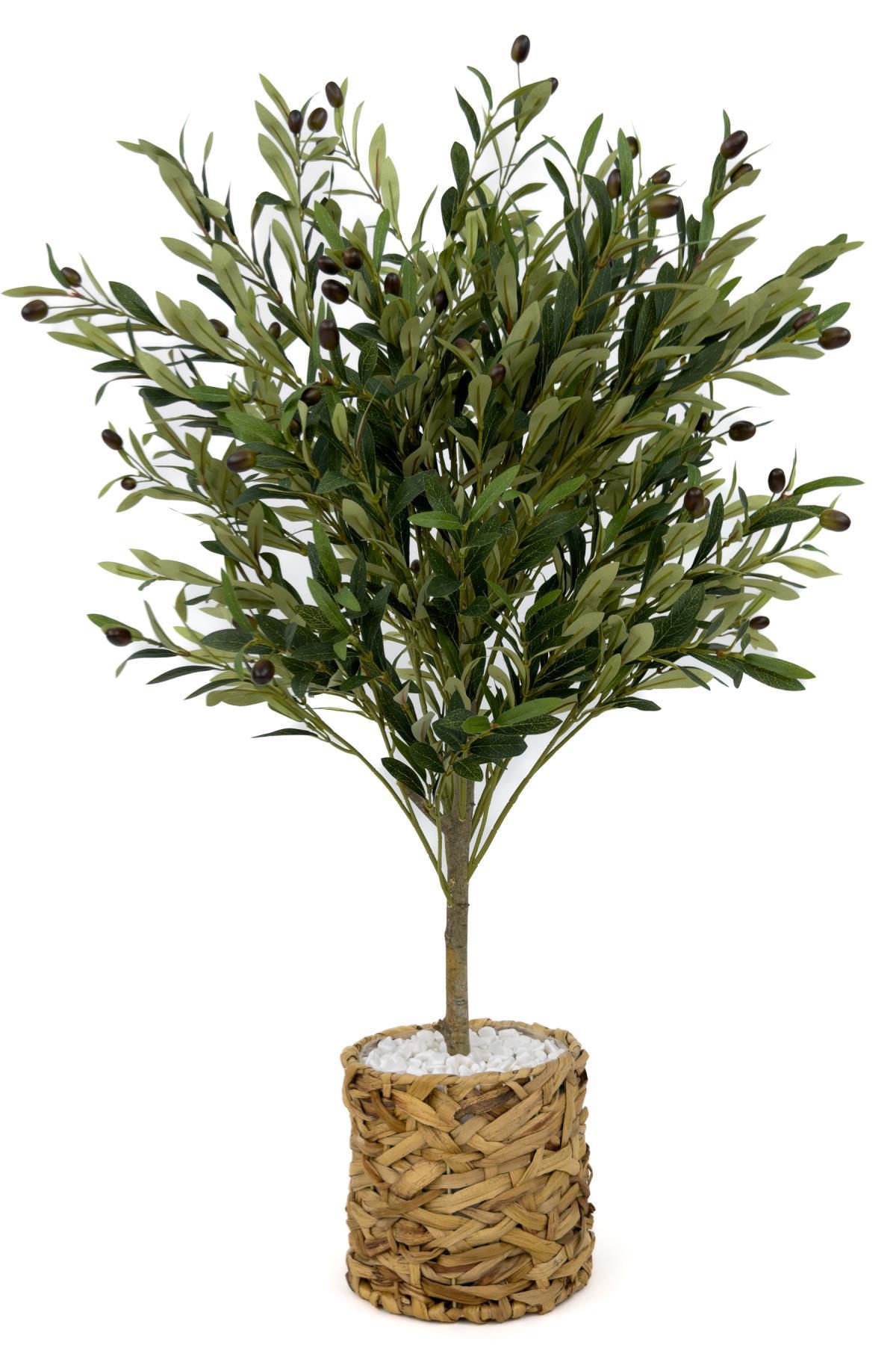 Zeytin Ağacı 100 cm hasır bohem1 saksıda