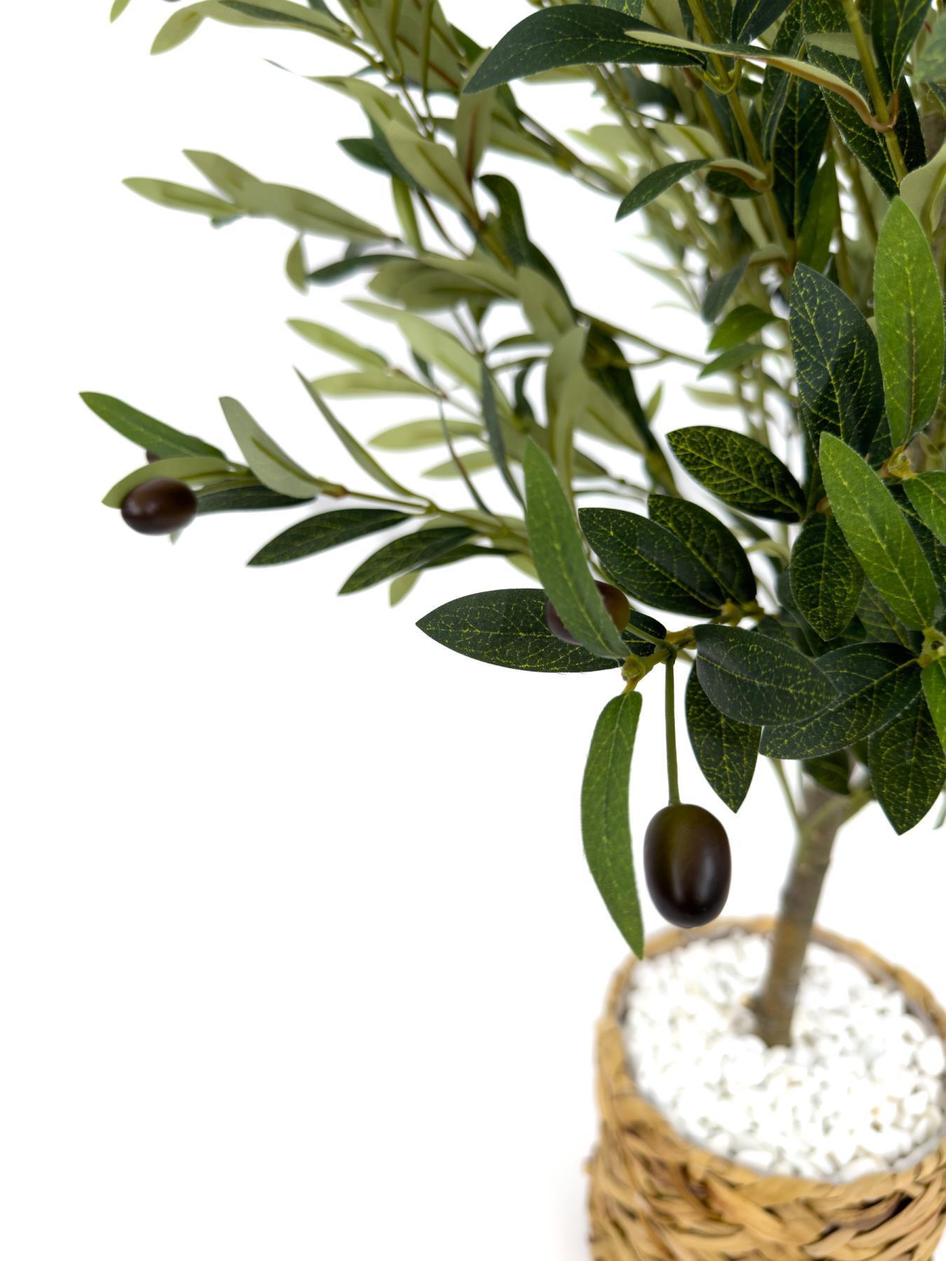 Zeytin Ağacı 100 cm hasır bohem1 saksıda