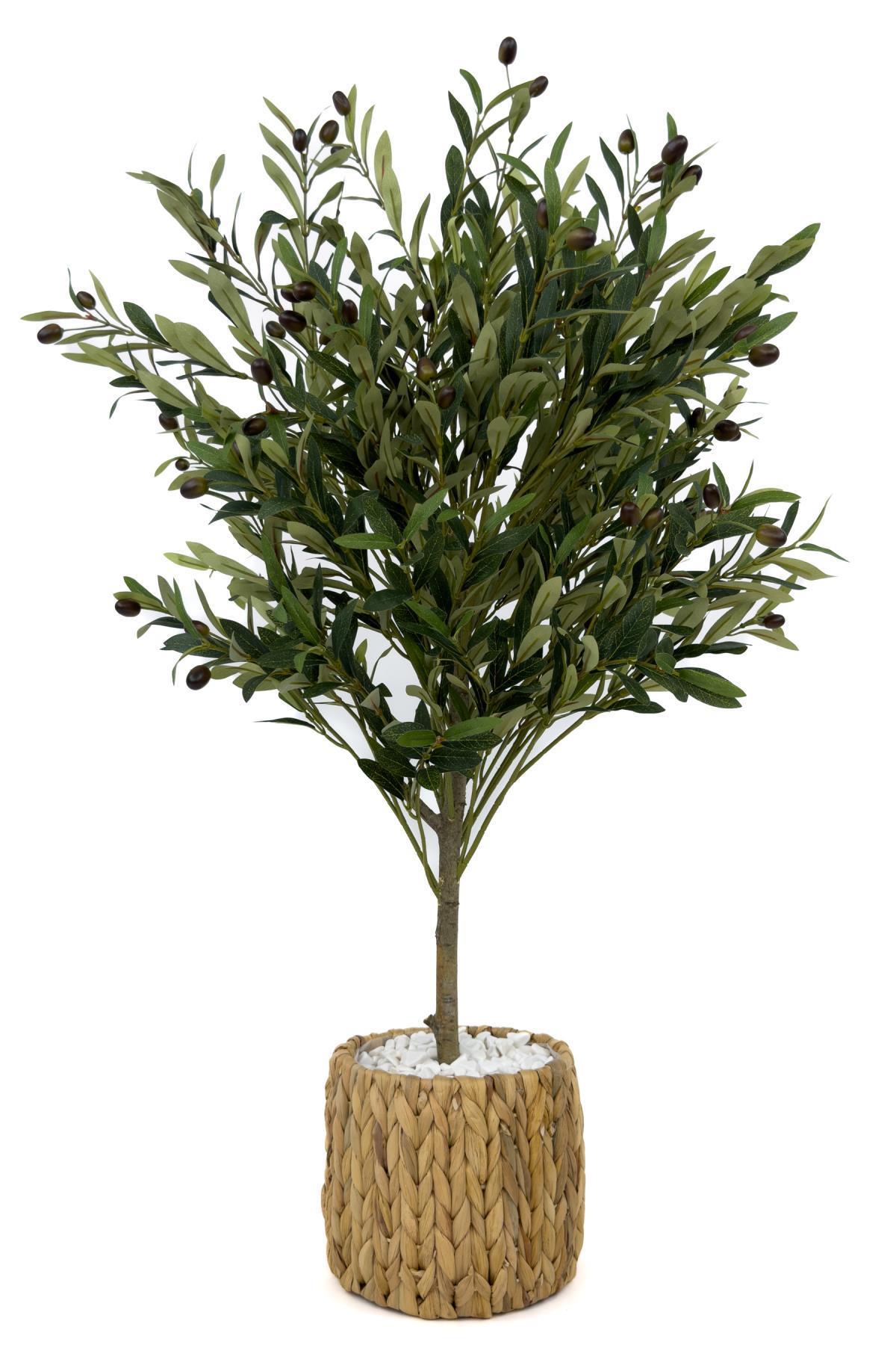 Zeytin Ağacı 100 cm hasır bohem2 saksıda