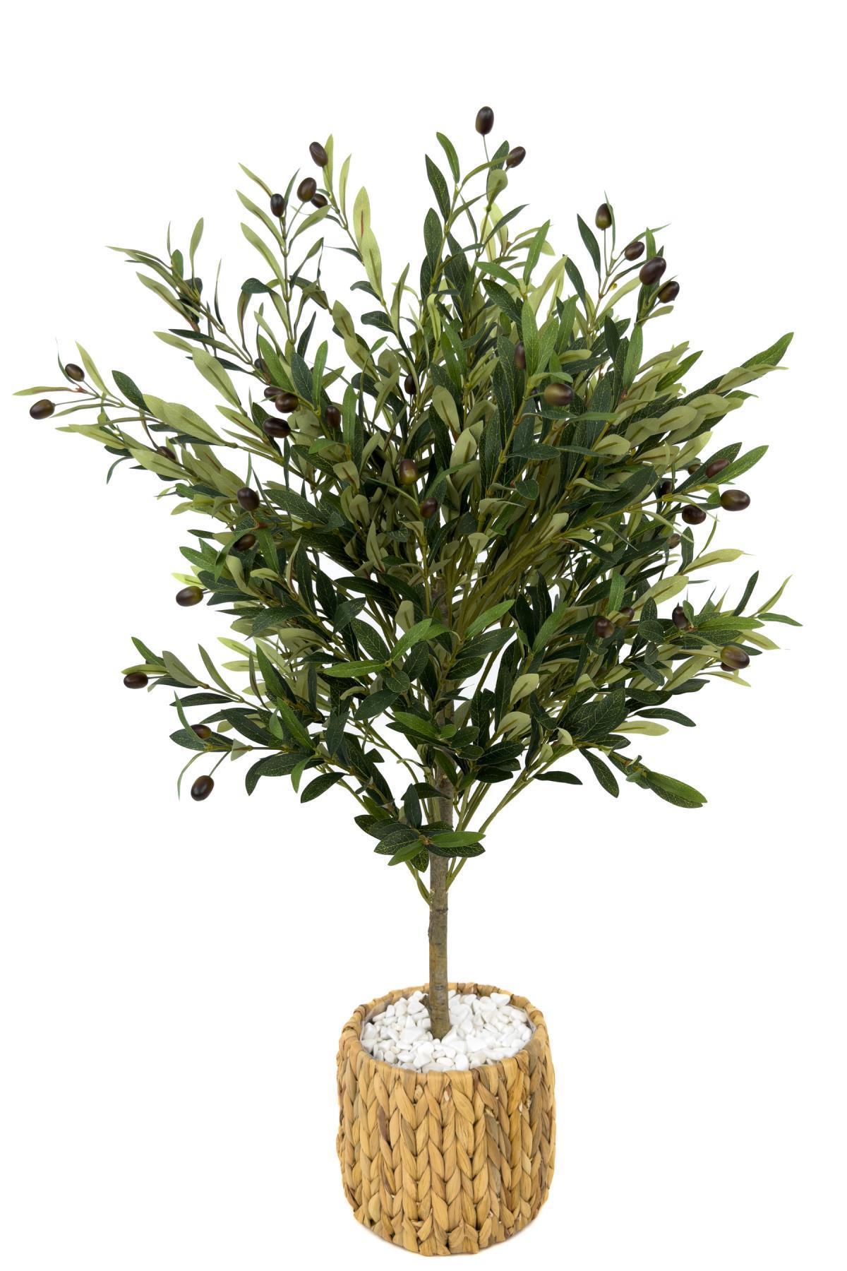 Zeytin Ağacı 100 cm hasır bohem2 saksıda