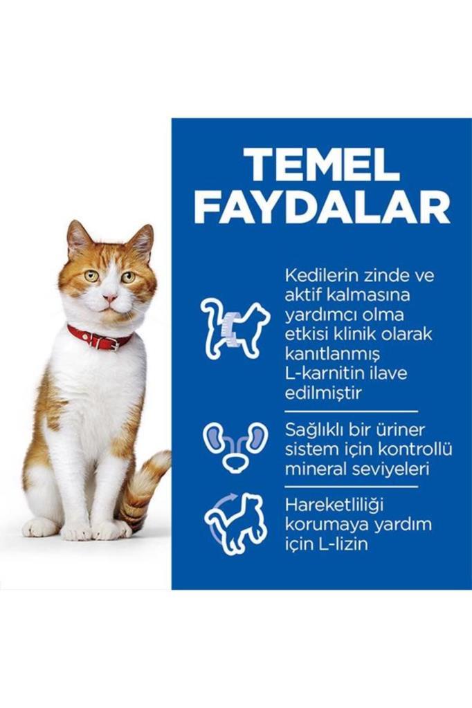 Hill's SCIENCE PLAN Somonlu Kısırlaştırılmış Yetişkin Kedi Maması 8+2 kg