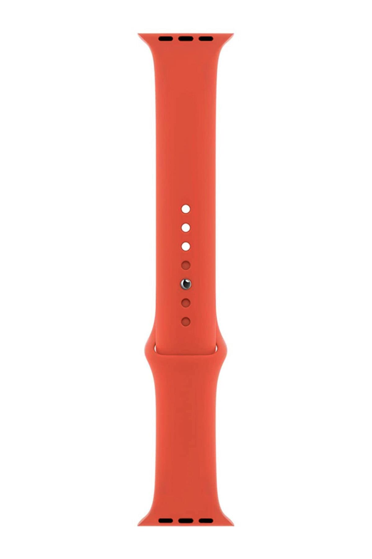 Apple Watch Series 4 5 Uyumlu 44 Mm Large Beden(m/l Sıze) Silikon Kordon Mor