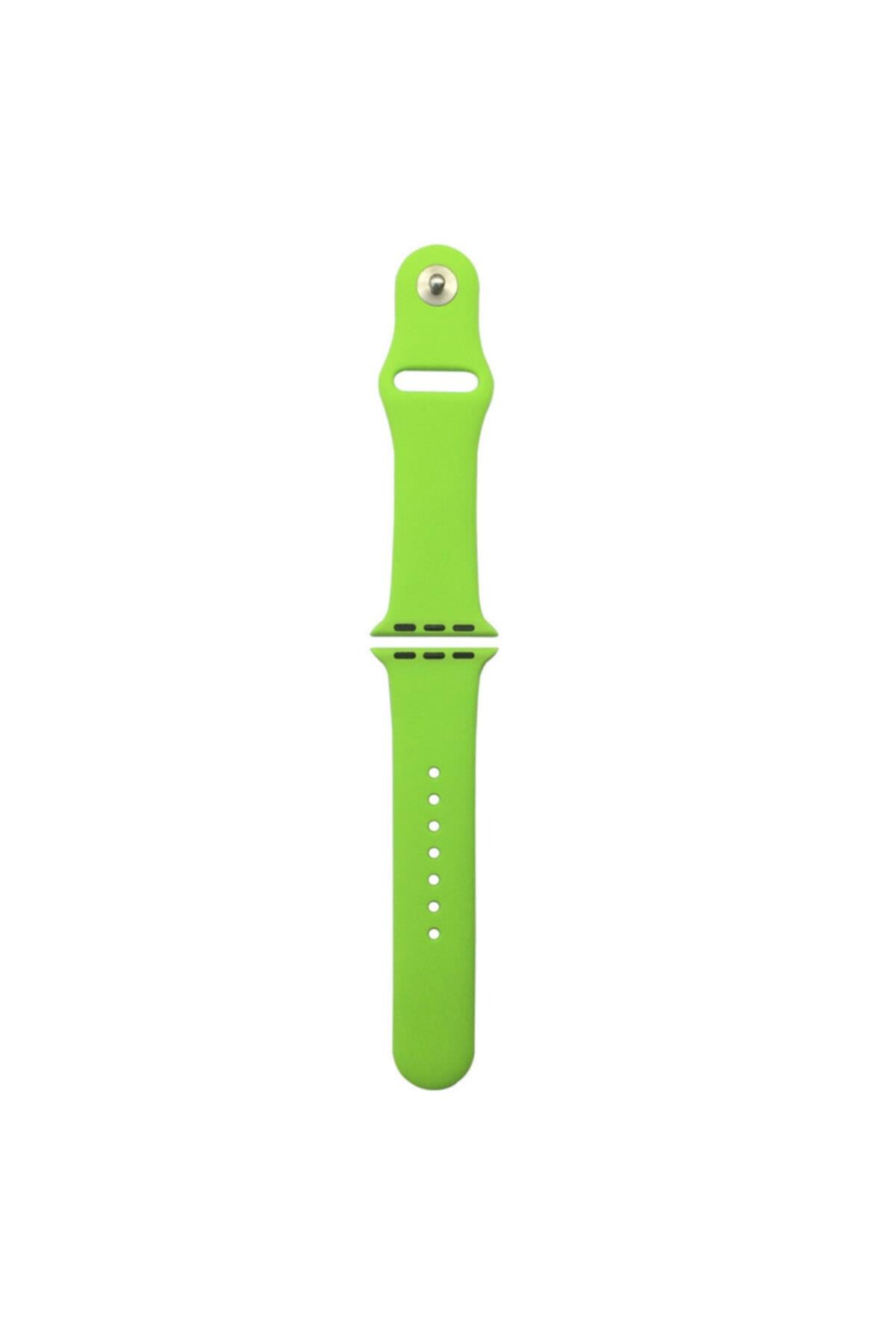 Apple Watch Series 4 5 Uyumlu 44 Mm Large Beden(m/l Sıze) Silikon Kordon Mor