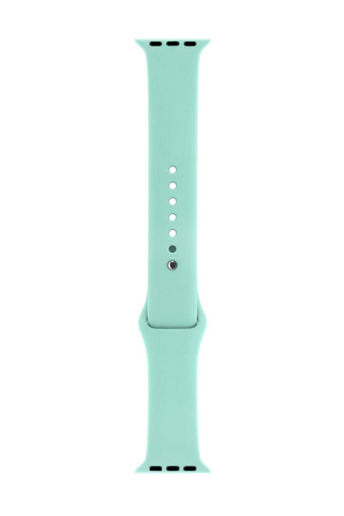 Apple Watch Series 4 5 Uyumlu 44 Mm Large Beden(m/l Sıze) Silikon Kordon Mor