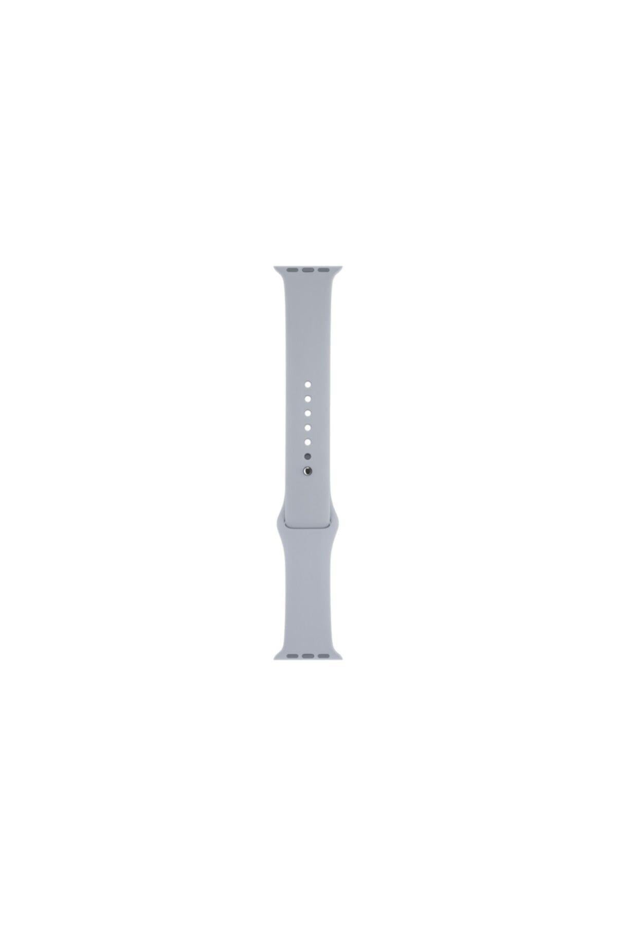 Apple Watch Series 4 5 Uyumlu 44 Mm Large Beden(m/l Sıze) Silikon Kordon Mor