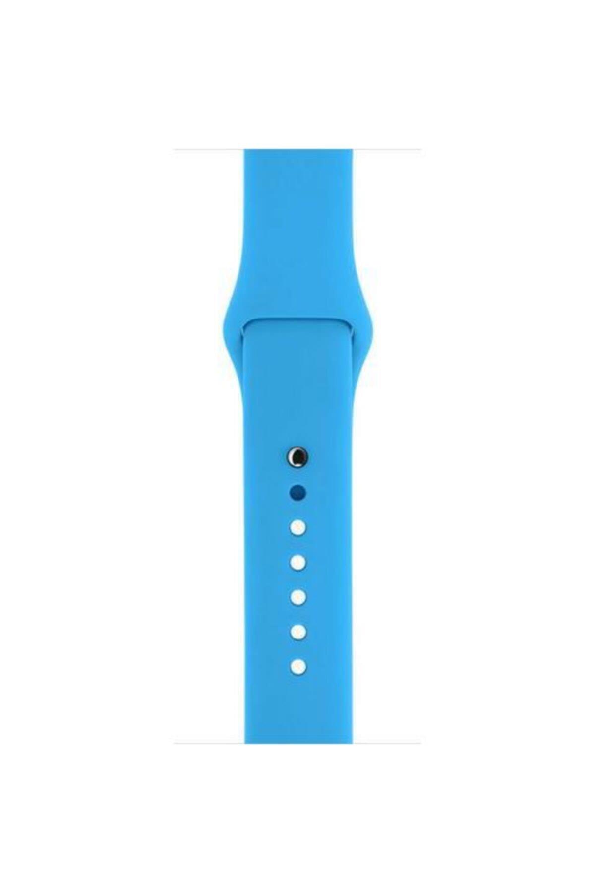 Apple Watch Series 4 5 Uyumlu 44 Mm Large Beden(m/l Sıze) Silikon Kordon Mor