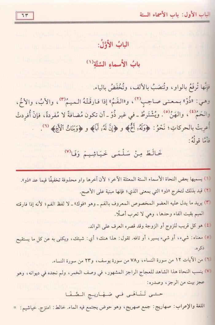 Diyaus Salik İla Avdehul Mesalik (Evdehul Mesalik Şerhu Elfiye) Arapça - ضياء السالك الي اوضح المسالك