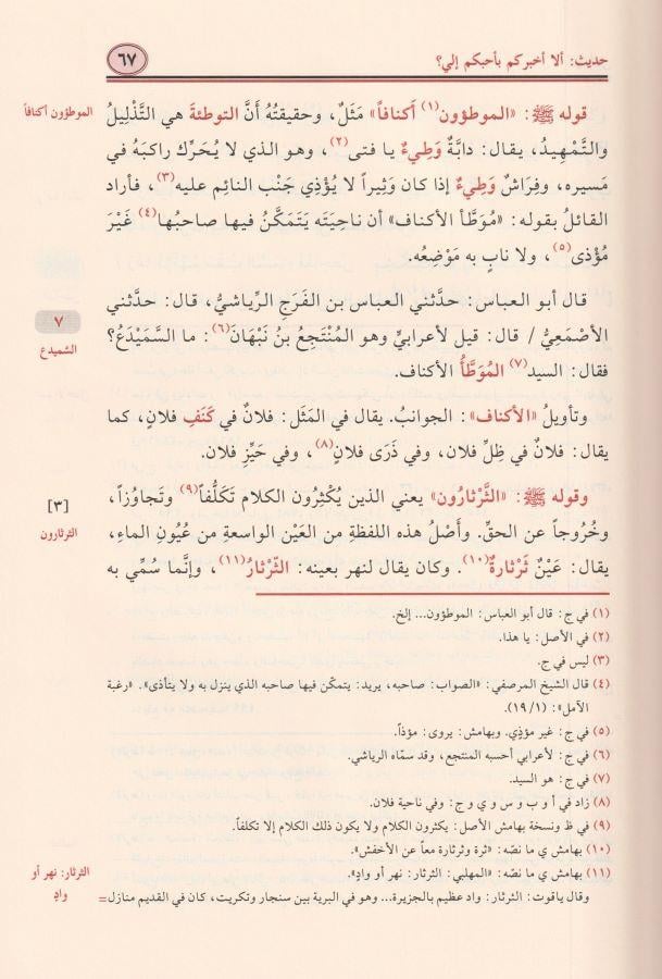El Kamil fil Luga vel Edeb Arapça - الكامل في اللغة والأدب - arapça kitap - arapça kitaplar medrese