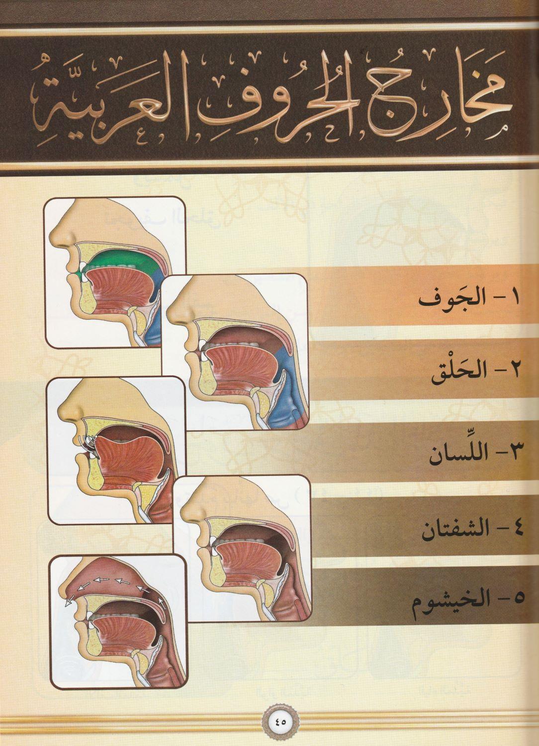 Et tecvid el musavver Arapça (QR kodlu) - التجويد المصور طبعة جديدة بمجلد واحد - arapça kitap - arapça kitaplar medrese