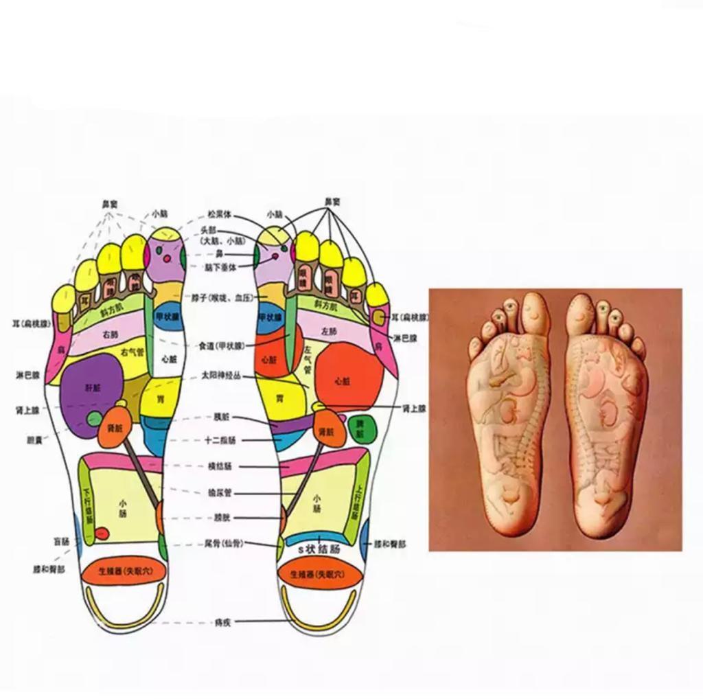 Ayak Masaj Makinesi Elektrikli Ayak Stimülasyon Masaj Pedi Katlanır Taşınabilir Tam Otomatik