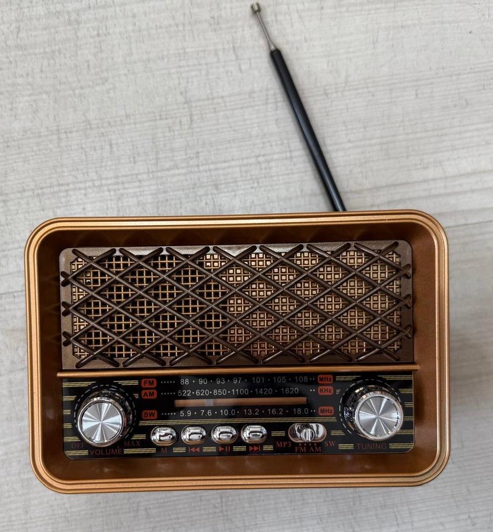 Fm Radyolu Led ışıklı Bluetooth Hoparlör Radyo Sd Kart Usb Girişli Mp3 Müzik Çalar