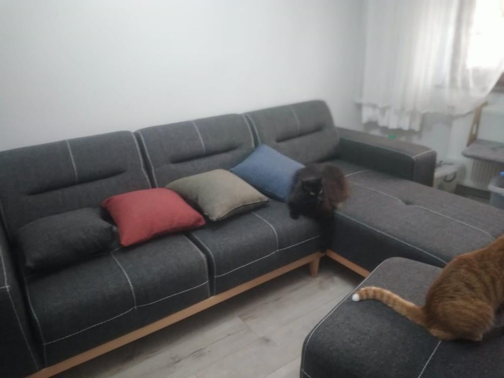 Müşteri Teslimatları