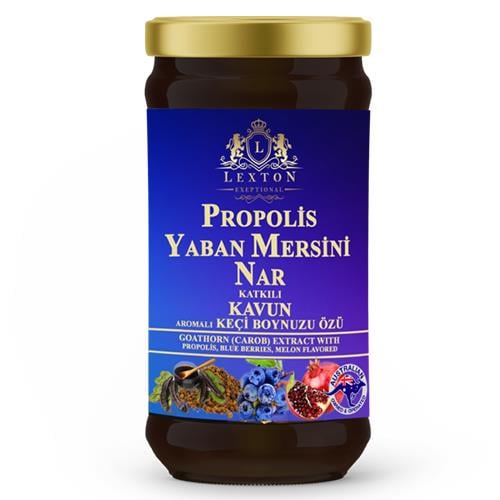 Lexton Harnup Özü 640gr Yaban Mersini & Nar