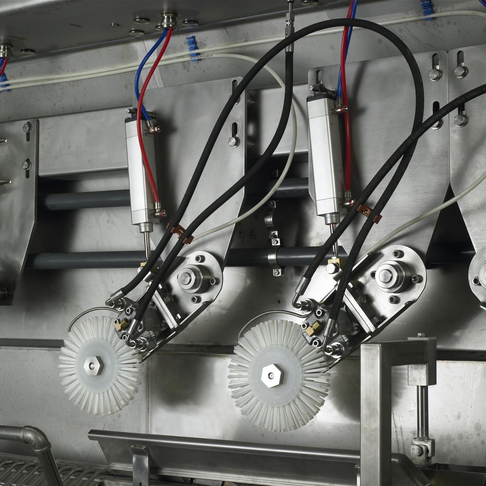 KROMA GTMSTR-8000 The perfect gutting machine for salmon, salmon trout, chum salmon etc. 