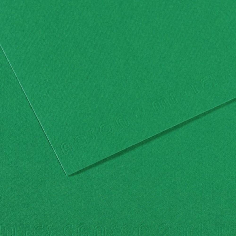 Canson Fon Kartonu (Dokulu) Mı-Teıntes Sh Canmt 50x65 160 GR Grn 575 31032S114