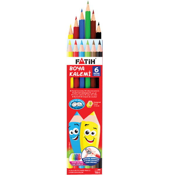 Fatih Kuru Boya Karton Kutu Tam Boy 6 Renk 33106