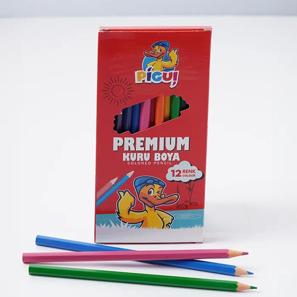 Pigui Kuru Boya Kalemi 12 Renk PGKB-21