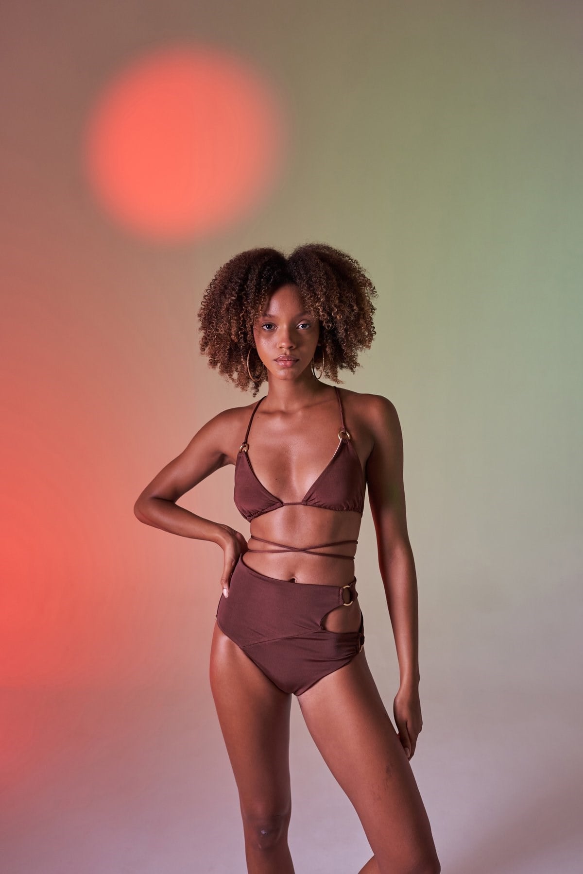 Delphi High Waist Briefs Brown