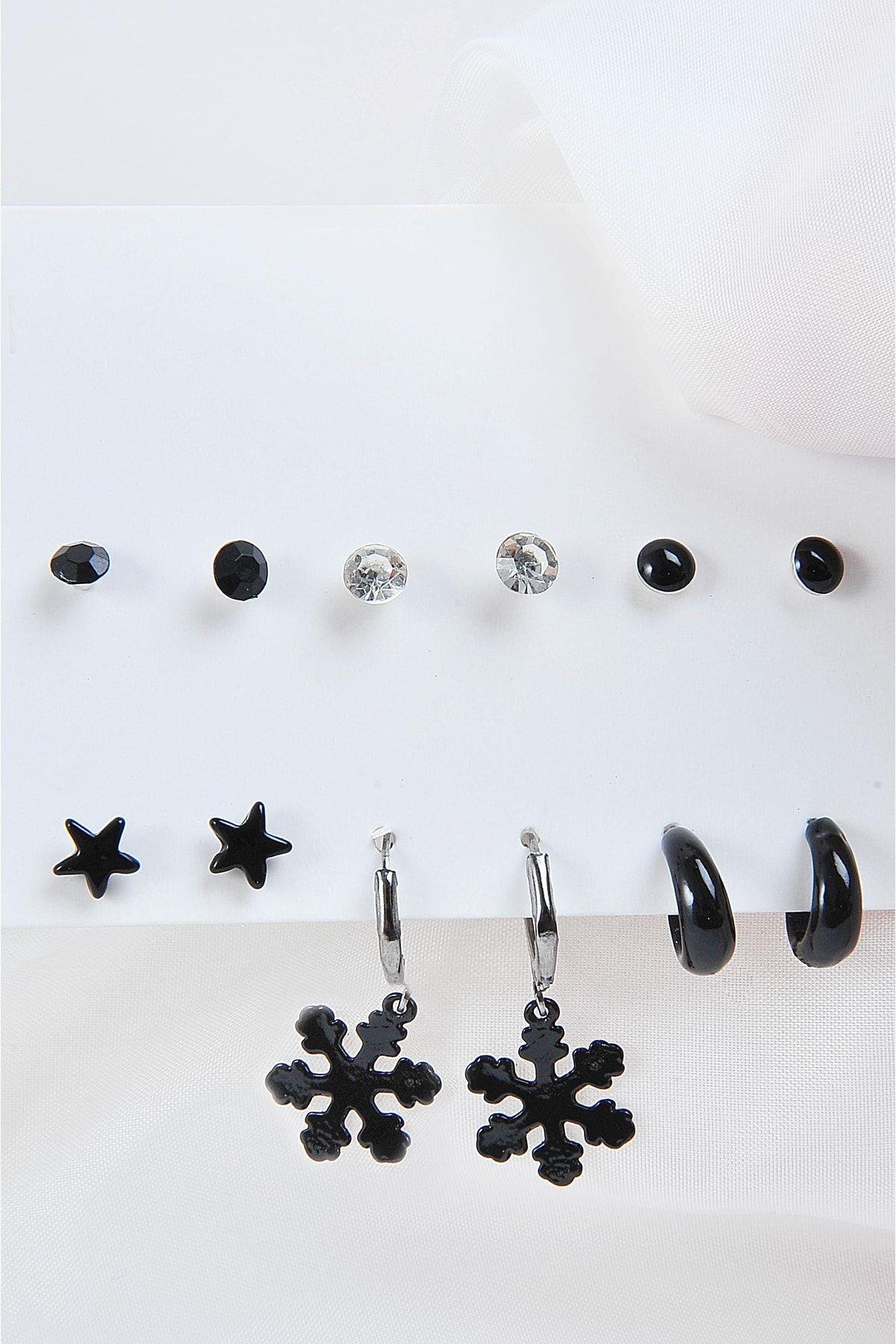 Kar Tanesi Yıldızlar Ve Halka Küpeli Tektaşlı Ve Siyah Top Küpeli 12li Küpe Seti