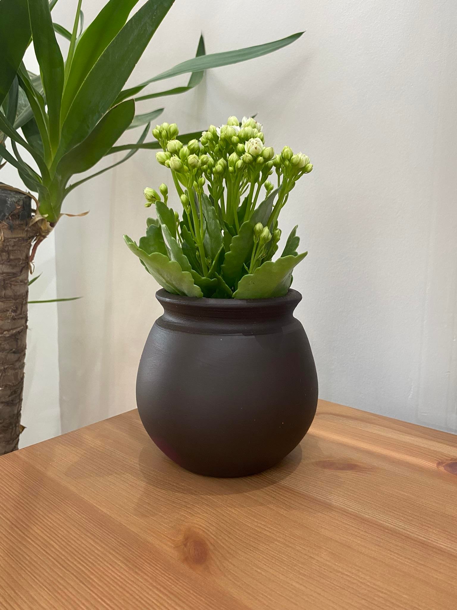 Avanos Balkon Saksı 4 lü set