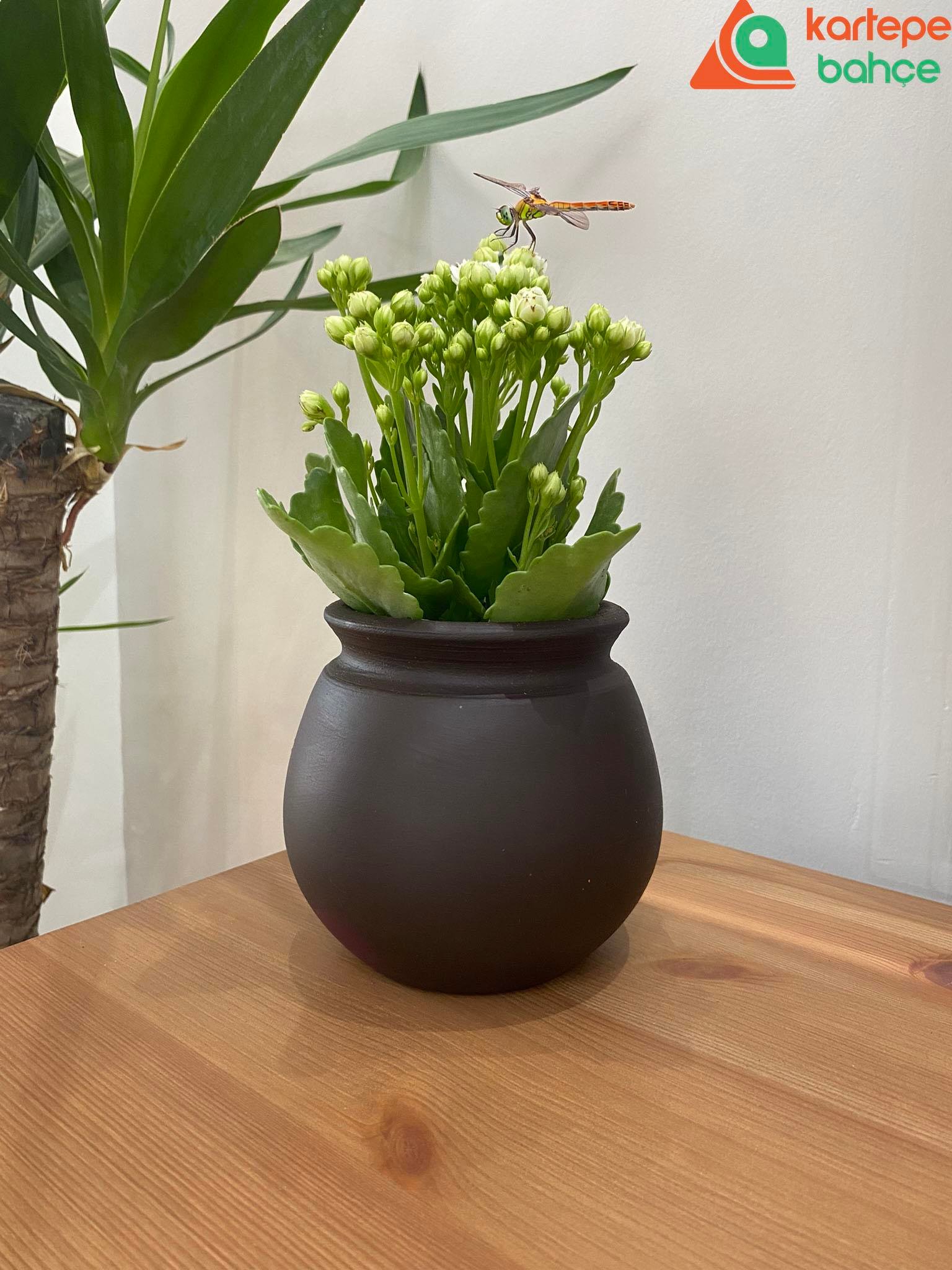 Avonos Balkon Saksı 4 lü set