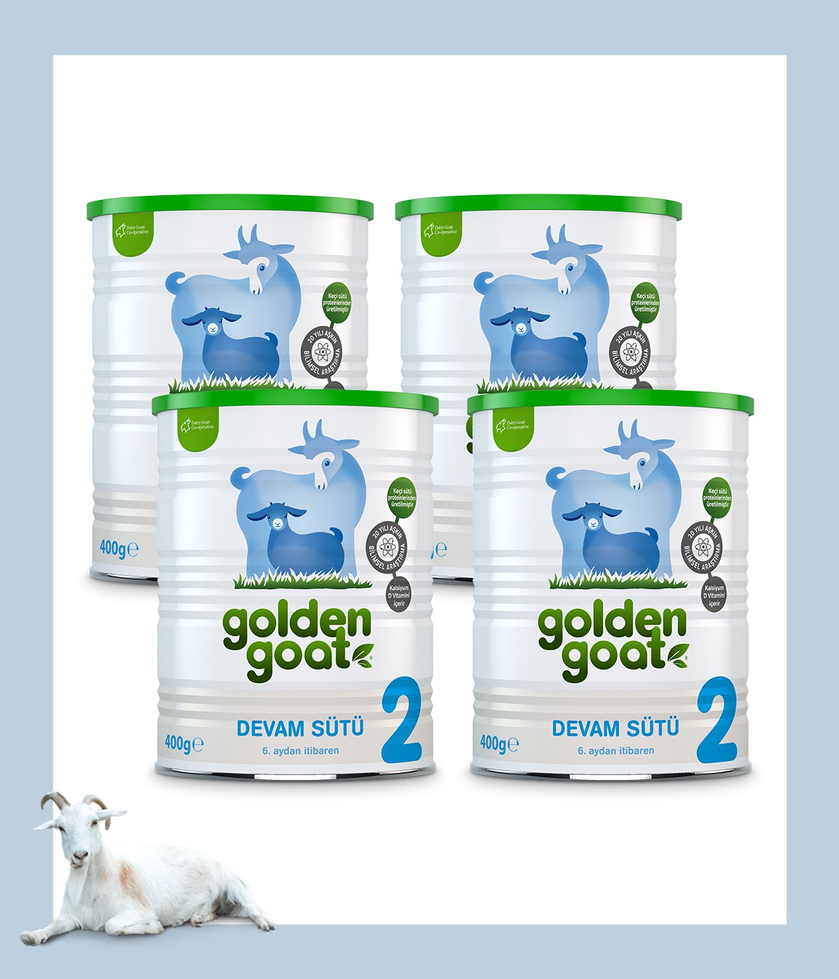 Golden Goat Keçi Devam Sütü 2 Numara 400 gr 4'lü Paket
