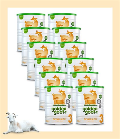 Golden Goat Keçi Devam Sütü 3 Numara 400 gr 12'li Paket