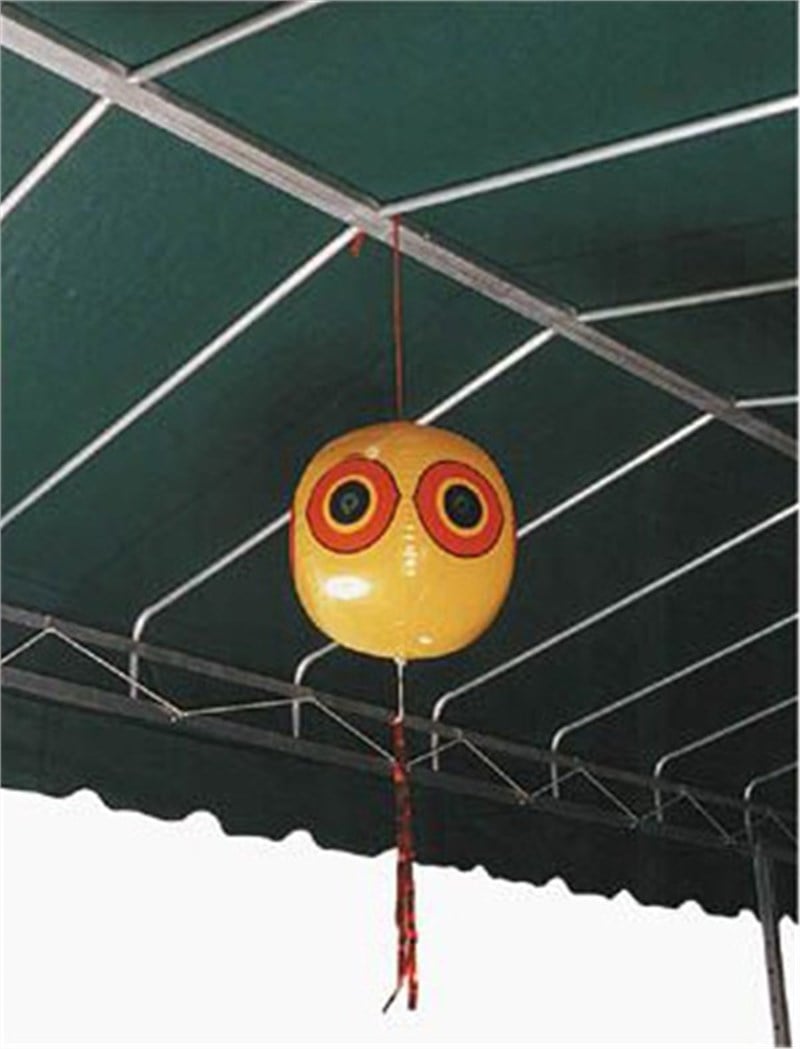 Kuş Kovucu Balon