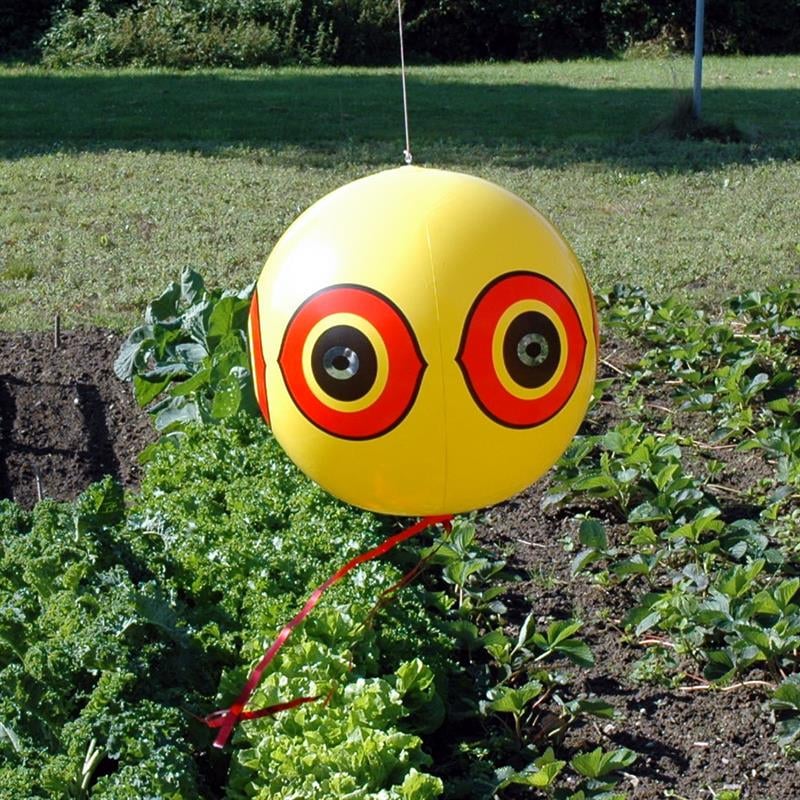 Kuş Kovucu Balon