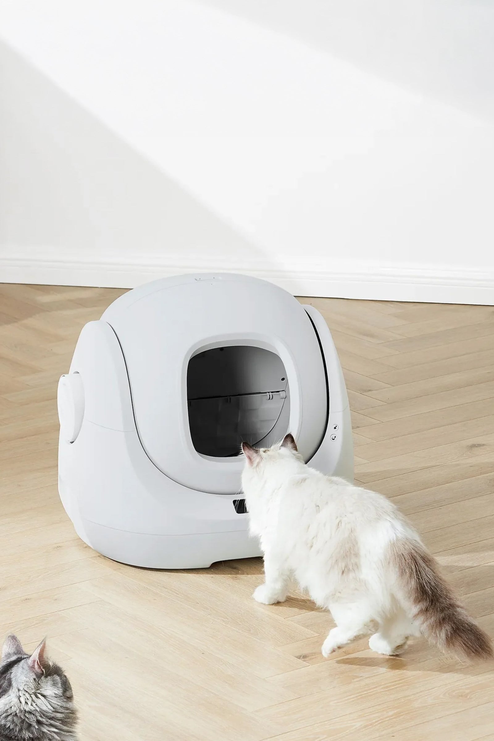 CATLINK Otomatik Kedi Tuvaleti - Scooper SE (Lite)